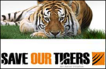 save the tiger